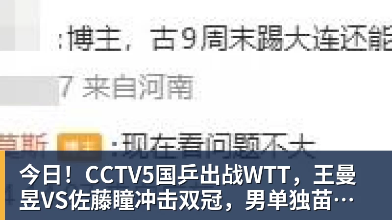 今日！CCTV5国乒出战WTT，王曼昱VS佐藤瞳冲击双冠，男单独苗周启豪PK松岛辉空